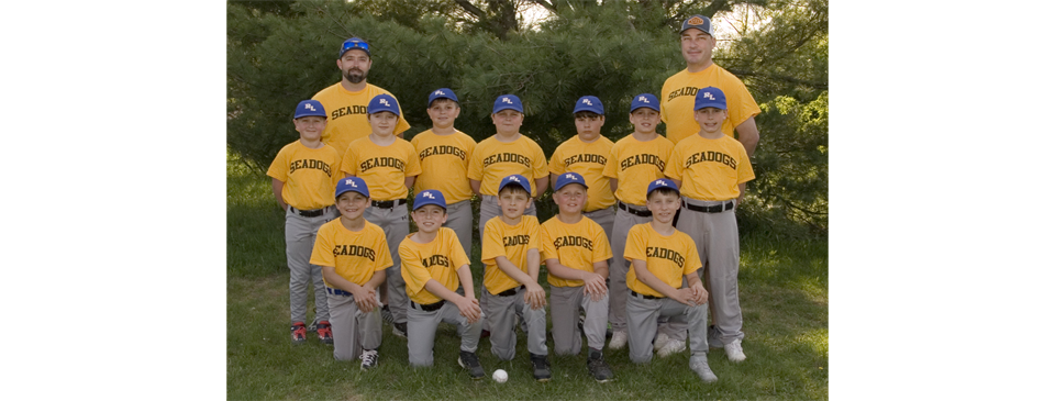youth little league baseball